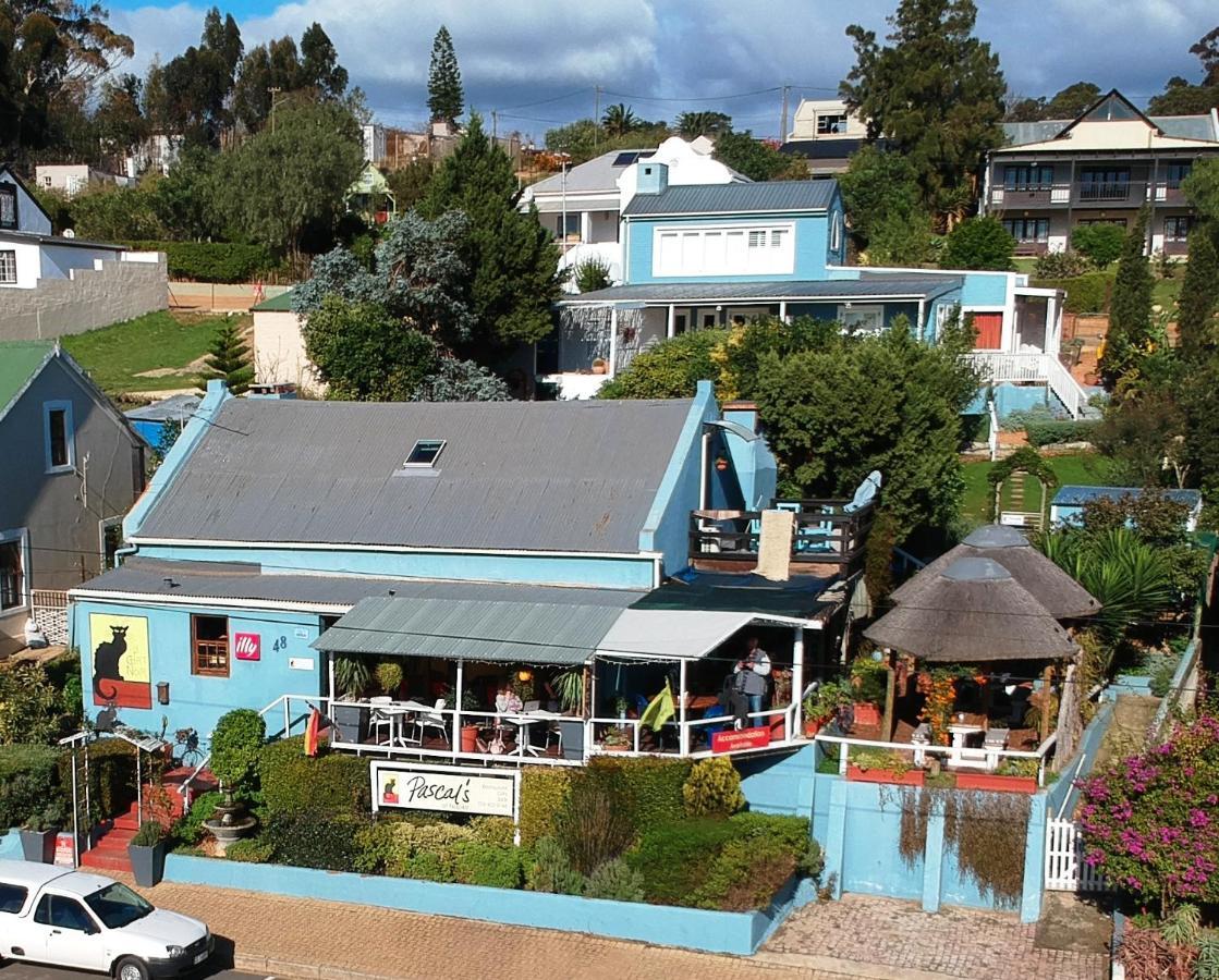 Pascal'S Of Napier Hotel Exterior foto